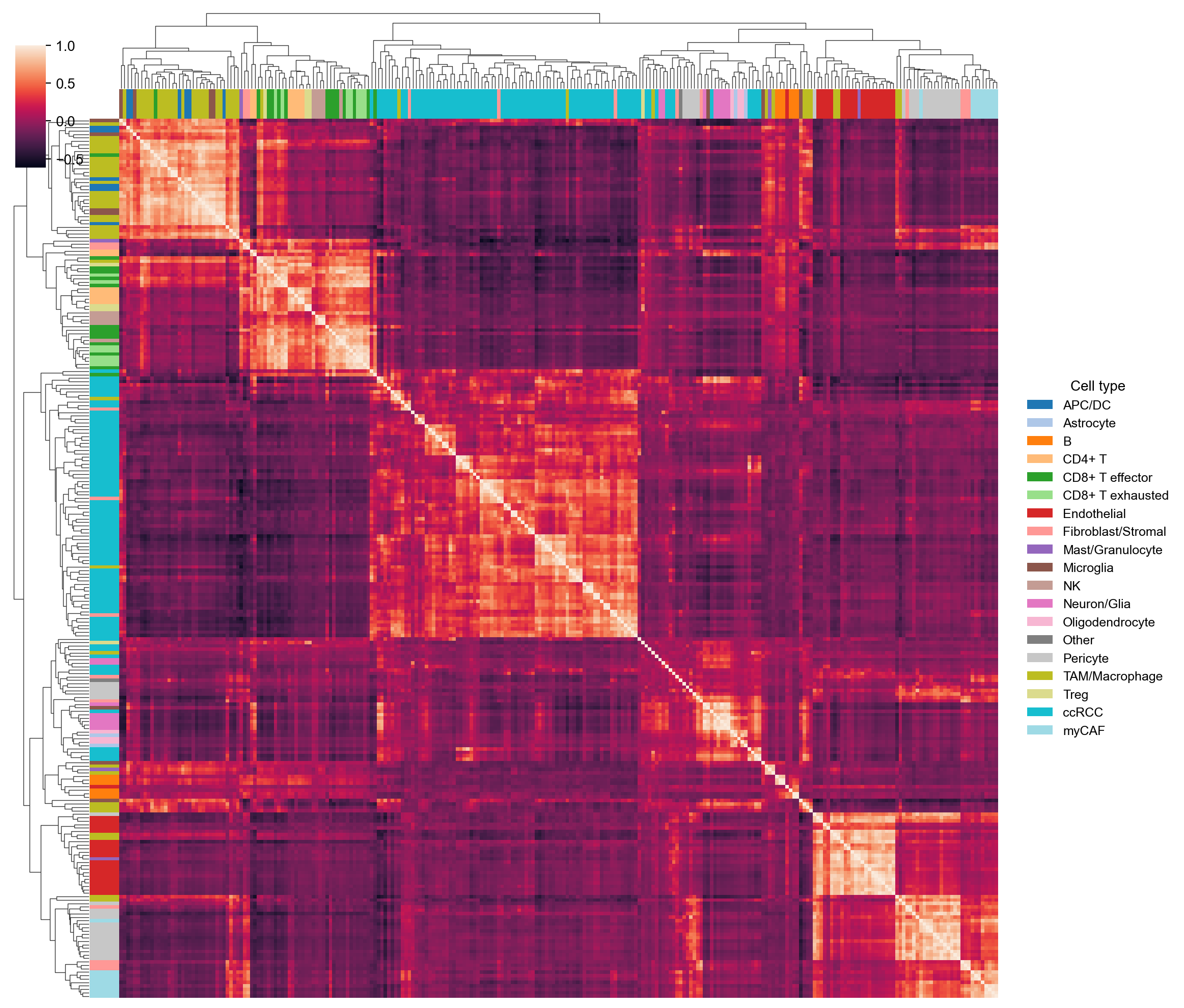 Hierarchically clustered correlation of the 256 cell-state codes, colored by dominant cell type
